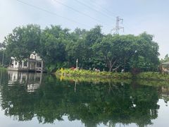 -晓港公园