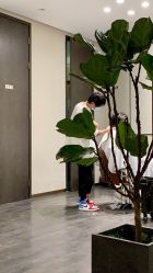 -崇尚GAVIN STYLE臻选