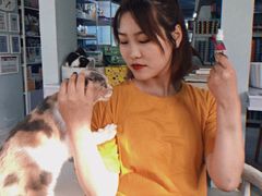 -喵的天空名猫咖啡馆·撸猫·猫舍·用品