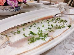 -新光酒家·河豚·海鲜·蟹料理(浦东店)