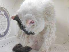 -拜鲁耶动物诊疗中心·宠家动物医院