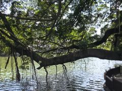 -荔湾湖公园