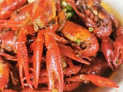 -霸王虾·麻辣小龙虾(清水河公园店)