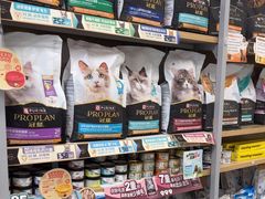 -美联众合爱康动物医院•复杂内科•肿瘤科•牙科•腔镜诊疗中心