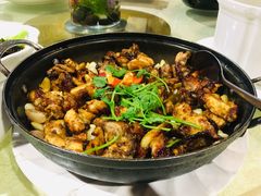 石锅焖鸡-暖见鱼·自家农场生态鱼
