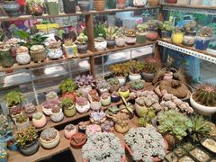 -宝鸡东道花鸟鱼虫市场(吉利花园商场店)