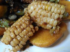 -大鹅岛绿色生态美食园