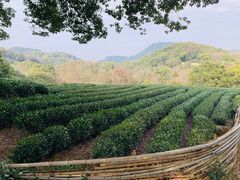 -西湖风景区十里琅珰-五云山