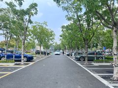 -上海山野camping·户外天幕烧烤·团建拓展营地