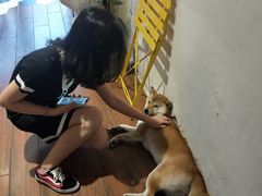 -About Bistro關於·泰式家庭料理