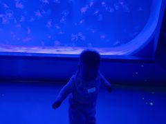 -沈阳海洋探索中心