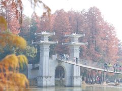 -东湖落雁景区