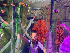 -沈阳海洋探索中心