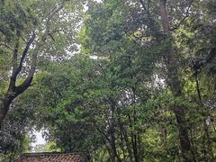 -成都杜甫草堂博物馆
