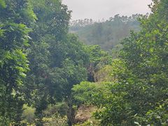 -草庵摩尼教遗址公园