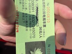 -上海长兴岛郊野公园