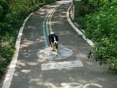 -桤木河湿地公园