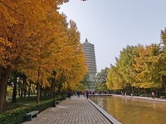 -玲珑塔公园