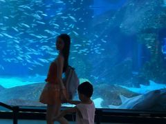-海合安成都极地海洋公园