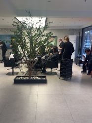 -付军剪艺JF ProSalon