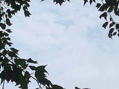 -韶山毛泽东同志故居