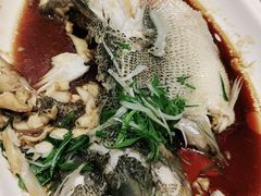 -紫光园·烤鸭·北京菜(劲松店)
