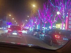 -大鸭梨烤鸭(枣园店)