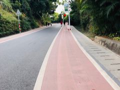 -仙岳公园