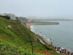 -燕儿岛山公园
