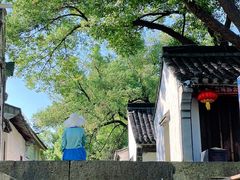 -绍兴鲁迅故里·沈园景区