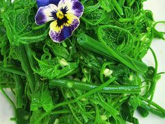 -北塘海鲜·天津菜(大光明桥旗舰店)