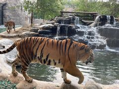 -北京野生动物园