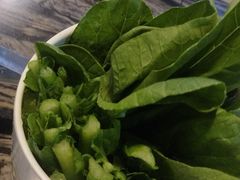 -嘉香苑茶餐厅