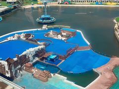 -秦皇岛乐岛海洋王国