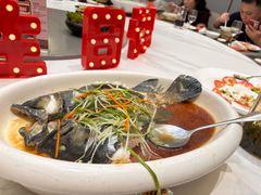 -国惠大酒楼(宝龙店)