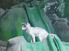 -太奥幻太奇海洋馆