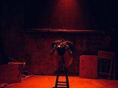 -Mr.Fox狐狸先生超级密室(南山店)