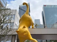 -深圳湾万象城(南山店)