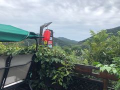 -慢丽江·云南野生菌土鸡锅(西山店)
