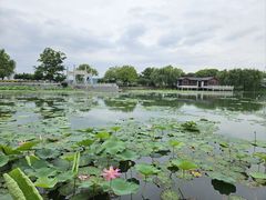 -石湖景区
