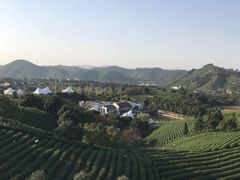 -帐篷客·溪龙茶谷度假酒店