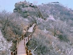 -大岭沟猕猴桃谷风景区