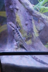 -酷嗒动物文化乐园(cutezoo西溪乐天城店)