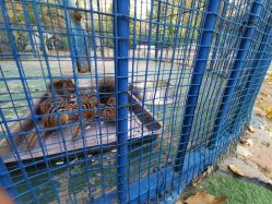 -萌宠亲子动物乐园(槐房万达店)