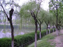 -东水关遗址公园