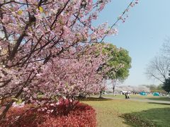 -石湖景区