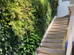 -Peet's Coffee皮爷咖啡(大学路店)