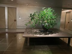 -隐溪茶馆(静安寺店)