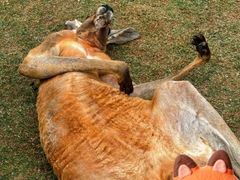 -泉州海丝野生动物世界