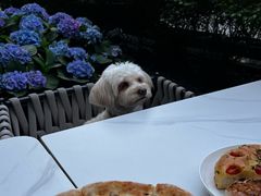 -君悦酒店·La Terrazza意合園·意式风味